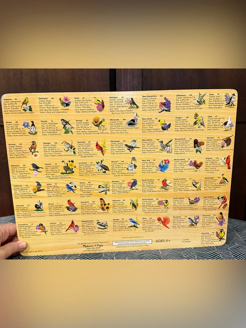 Melissa & Doug • wooden US states puzzle • state birds on the back • kids • toy